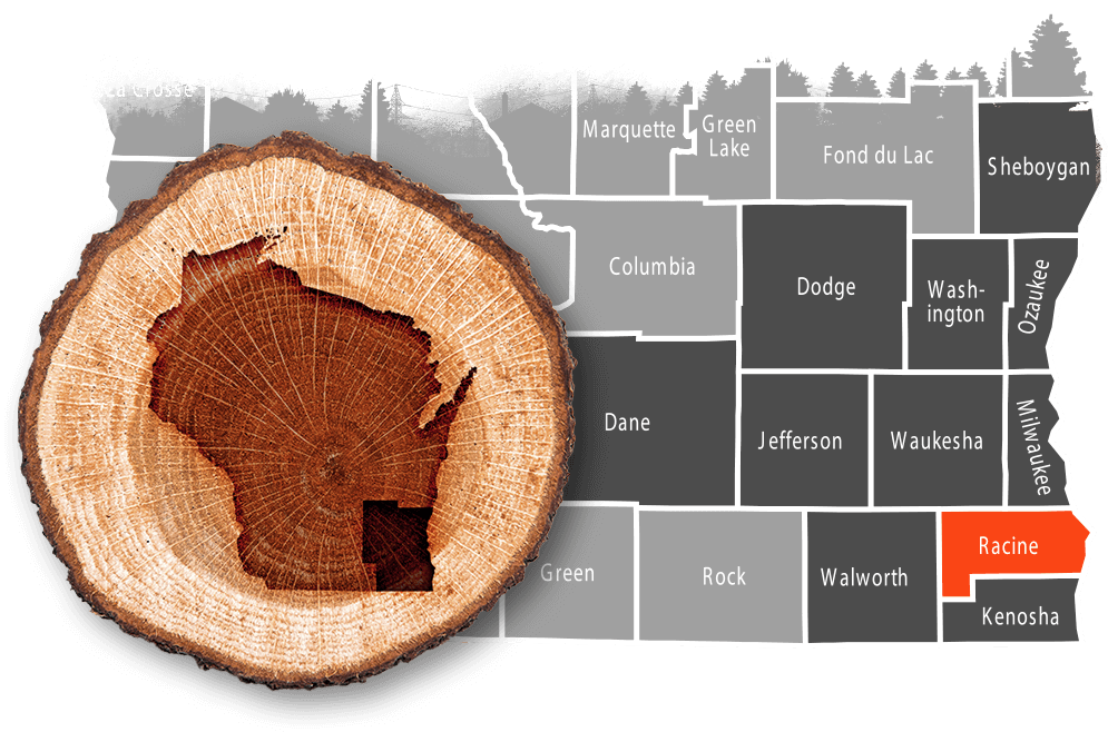 Racine, WI commercial, residential & municipal tree service