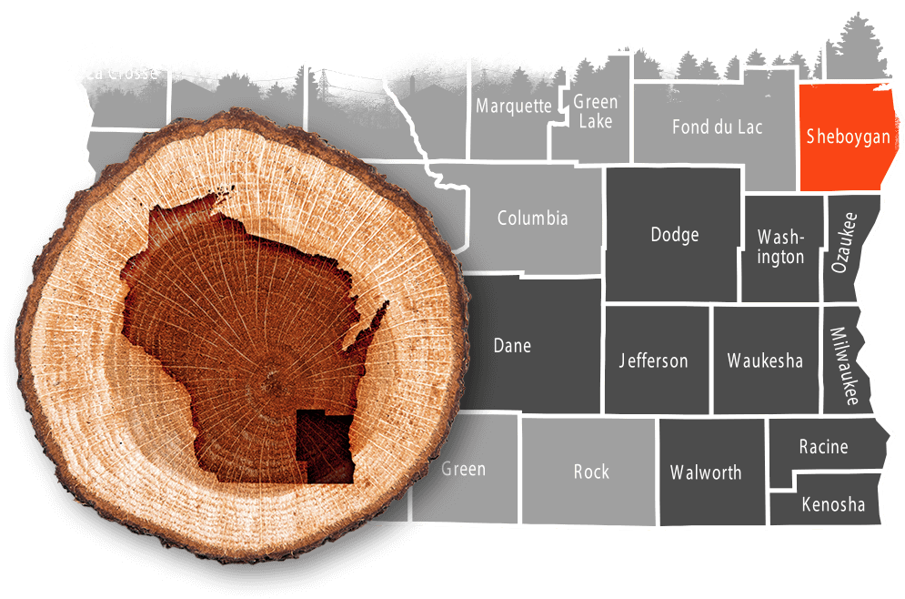 Sheboygan, WI commercial, residential & municipal tree removal