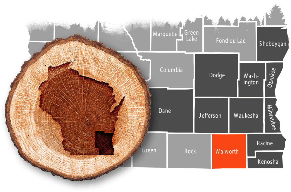 Walworth County, WI commercial, residential & municipal tree removal