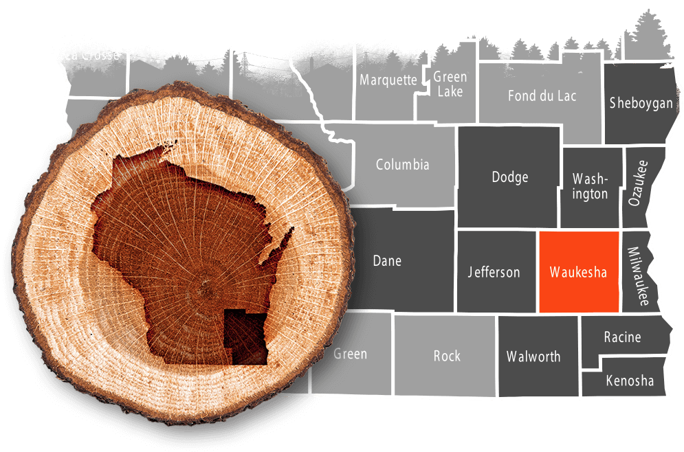 Tree removals & land clearing Waukesha