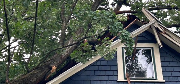 Lannon emergency tree removal in action