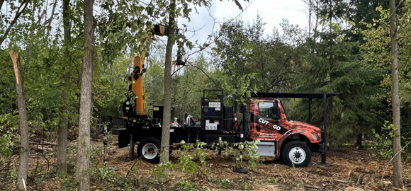 Lannon land clearing in progress