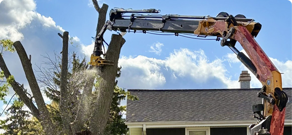crane assisted tree removal in progress