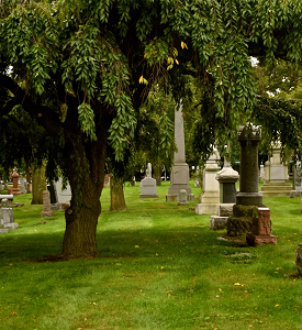 tree removal for cemeteries