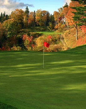tree removal for golf courses