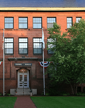 tree removal for government properties