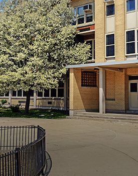 tree removal for schools