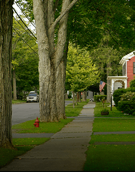 tree removal for streets and sidewalks